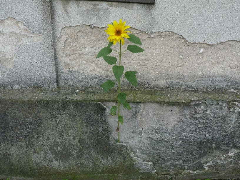 P1090845