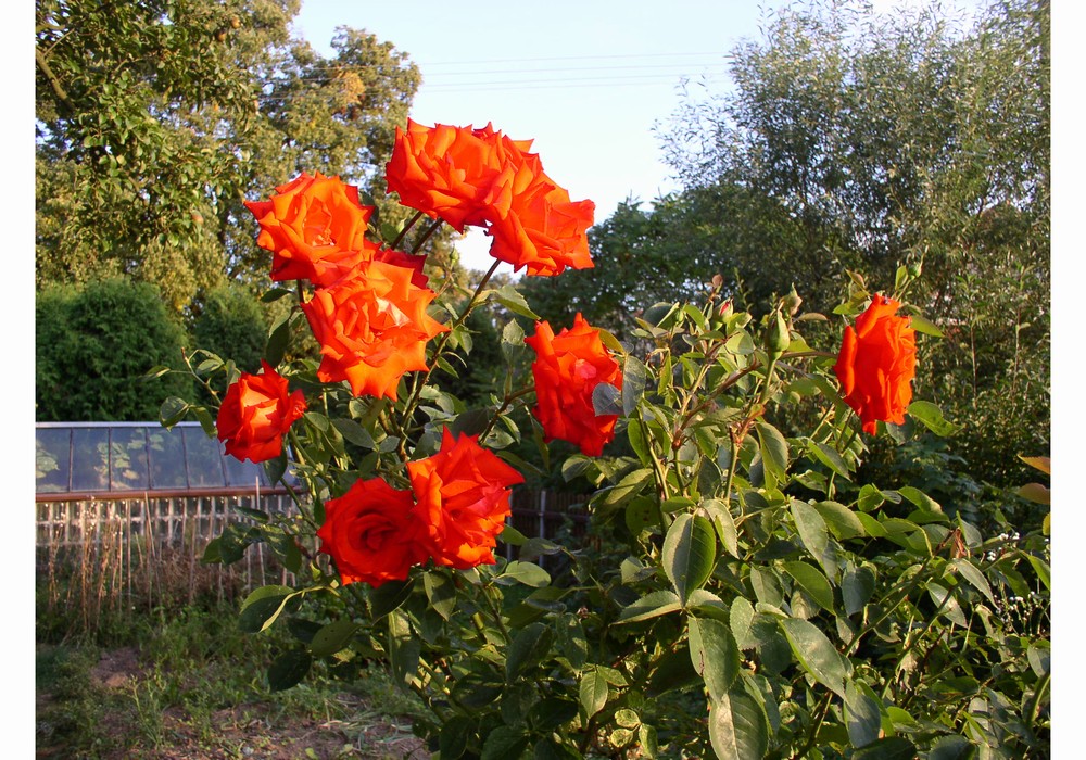 P8140048
