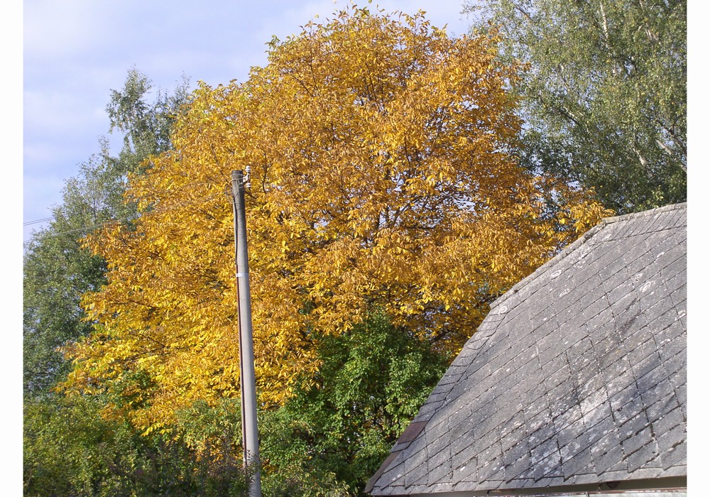 PA040006