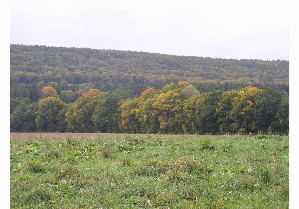 PA040008