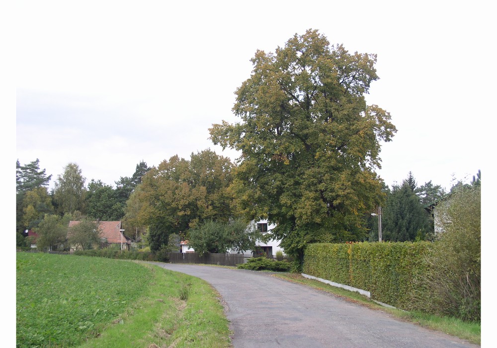 PA040014