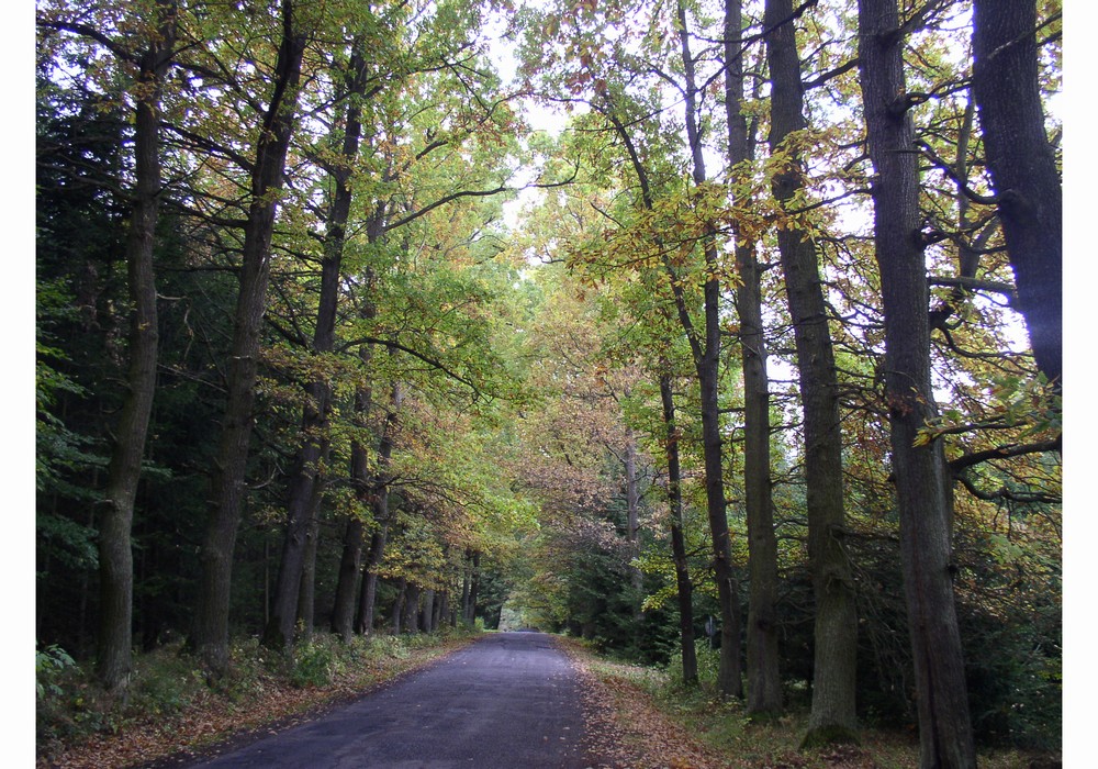 PA040020