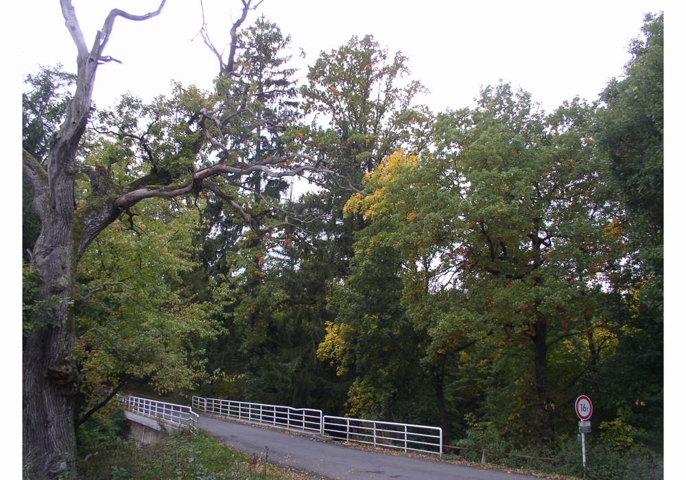 PA040024